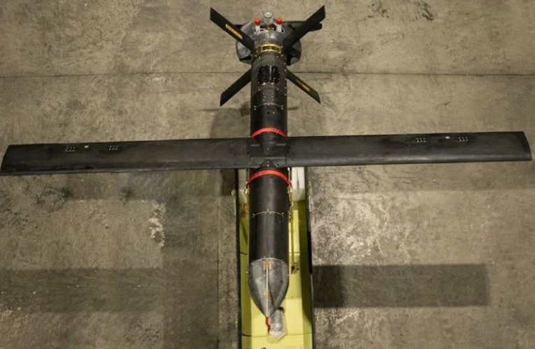Iran Unveils Shahed-107 Kamikaze Drone With New Features