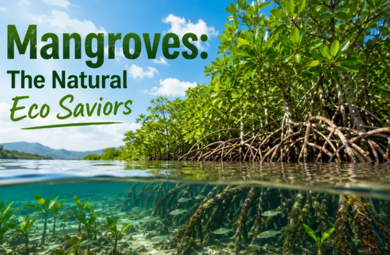 Mangroves: The Natural Eco Saviors